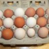 Free range Eggs 30