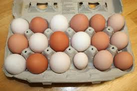 Tray -12 eggs