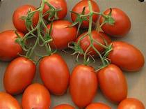 Tomatoes round 500g limited