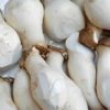 King Oyster Mushrooms 300g