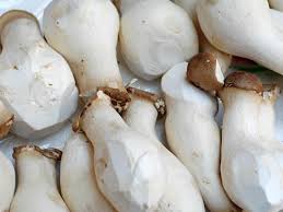 King Oyster Mushrooms 300g