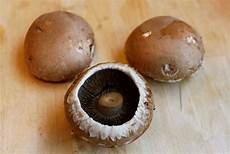 Portabellini Mushrooms 250g