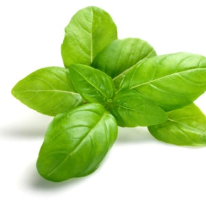 Organic Herbs