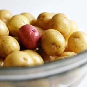 Small Potatoes 1kg