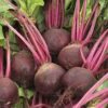 Beetroot  Bunches