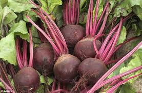 Beetroot  Bunches