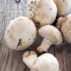 White Button Mushrooms 250g