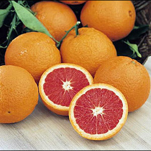 Cara cara oranges per kg,