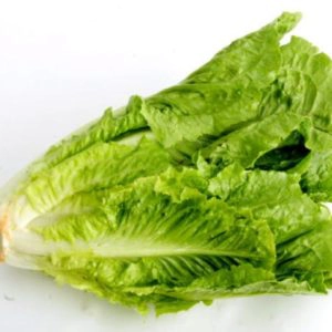 Cos Lettuce head