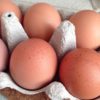 Free Range Eggs 18