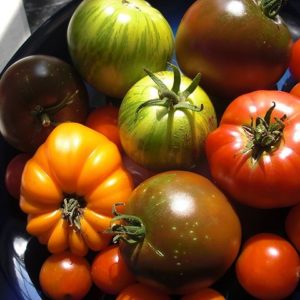 Heirloom tomatoes 500g