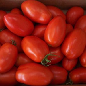 Round Plum tomatoes-500g