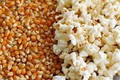GMO Free Popcorn 500g