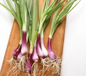 Red spring onion bunch