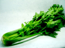 Table Celery bunch Very Limited