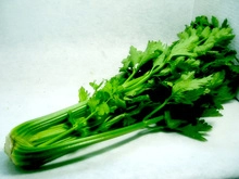 Table Celery bunch Very Limited