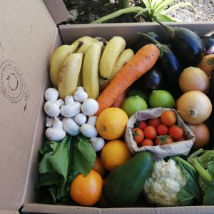 Fresh Box (mix of 15 seasonal items)
