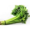 Soup celery bunch\
